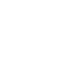 Custom Software Development