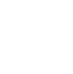 Custom Software Development