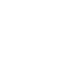 Custom Software Development