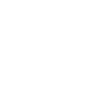 Custom Software Development