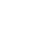 Custom Software Development